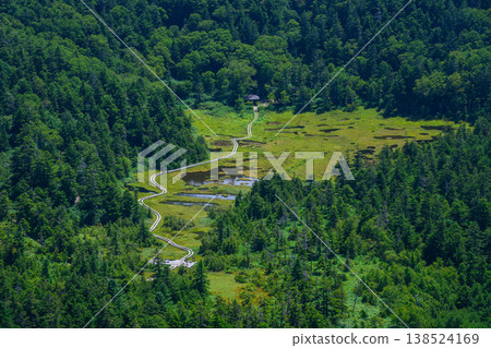 A panoramic view of the Shijuhachiike Marshland in Shiga Kogen, a spectacular view from the hiking trail, September. 138524169