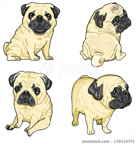 巴哥犬（4種） 138524755