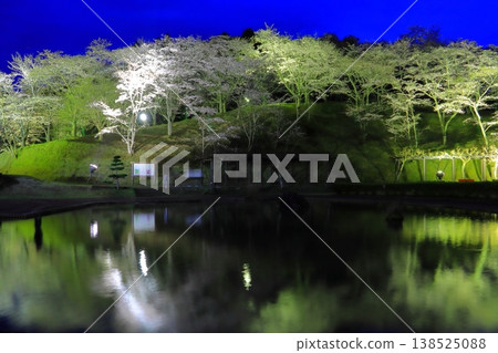 Cherry blossoms in full bloom (illuminated at Kichiroku Land, Usuki City) Cherry blossoms in full bloom (illuminated at Kichiroku Land, Usuki City) 138525088