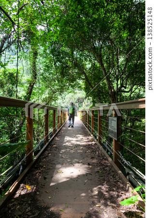 比智瀑布步道 138525148