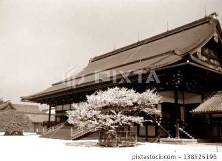 1956年的老照片,京都御所、紫芯殿和佐倉櫻 1956年的老照片,京都御所、紫芯殿和佐倉櫻 138525198