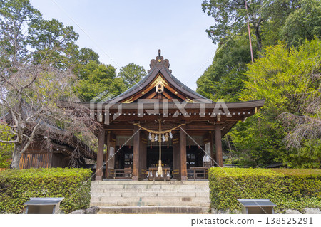 Asuka-ni-imasu Shrine, Worship Hall and Main Sanctuary, Spring 138525291