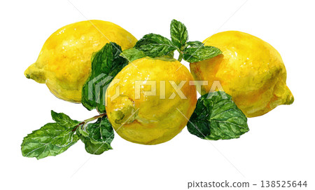 Watercolor fresh lemons with mint leaves clip art illustration isolated on white background 138525644