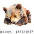 Watercolor little brown bear sleeping animal clip art illustration isolated on white background 138525647