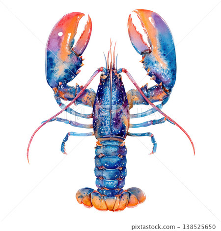 Watercolor blue and orange lobster animal clip art illustration isolated on white background 138525650