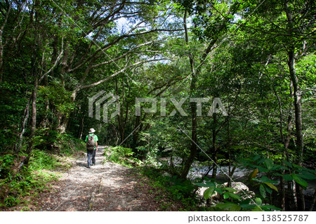Hiji Falls walking trail Hiji Falls walking trail 138525787
