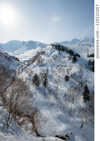 十勝岳溫泉凌雲閣的雪景 十勝岳溫泉凌雲閣的雪景 138525887