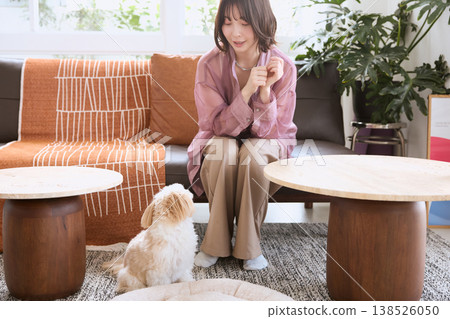 A woman playing with her Maltese in the living room. Life with a dog. A lifestyle spent with pets. A woman playing with her Maltese in the living room. Life with a dog. A lifestyle spent with pets. 138526050