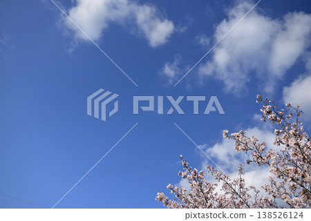 春天的櫻花、天空和雲朵 春天的櫻花、天空和雲朵 138526124