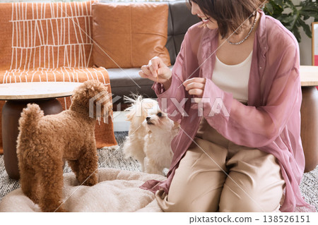A woman gives treats to her Toy Poodle and Maltese: Dog training and pet life A woman gives treats to her Toy Poodle and Maltese: Dog training and pet life 138526151