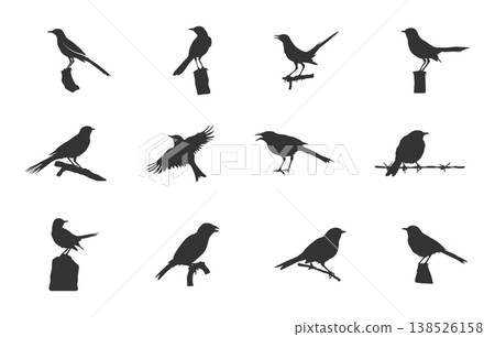 Mockingbird silhouette set, Mockingbird svg, Mockingbird clipart, Mockingbird vector set. Mockingbird silhouette set, Mockingbird svg, Mockingbird clipart, Mockingbird vector set. 138526158