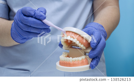 Dentist showing how to brush teeth correctly using a professional dental jaw model and a toothbrush. Dentist showing how to brush teeth correctly using a professional dental jaw model and a toothbrush. 138526213