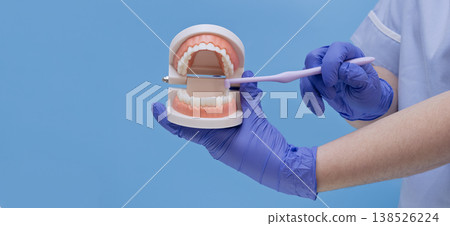Dentist showing how to brush teeth correctly on a dental jaw model. Dentist showing how to brush teeth correctly on a dental jaw model. 138526224