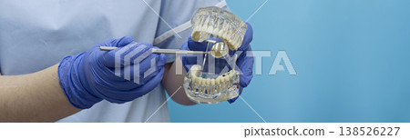 Dental checkup and hygiene concept. Doctor holding transparent teeth model. Panoramic medical background with blank space. Dental checkup and hygiene concept. Doctor holding transparent teeth model. Panoramic medical background with blank space. 138526227