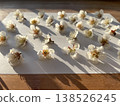 Plum blossom  138526245