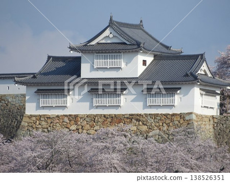 Tsuruyama Park (Tsuyama Castle Ruins), one of Japan's 100 best cherry blossom viewing spots, is located in Tsuyama City, Okayama Prefecture. Its symbol is the Bitchu Turret. 138526351