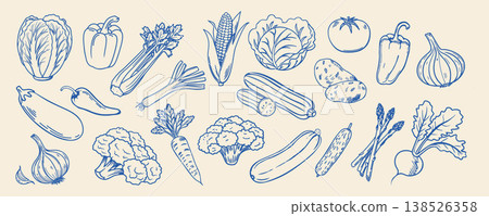 Hand drawn vegetable collection. Blue linear sketch. Food illustration. 138526358