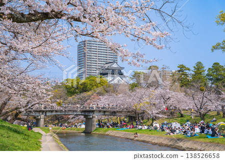 春天的岡崎城，櫻花盛開（愛知縣岡崎市） 138526658