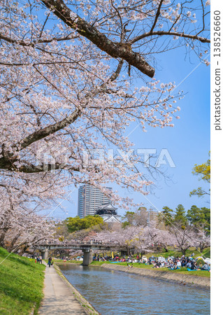 春天的岡崎城，櫻花盛開（愛知縣岡崎市） 138526660