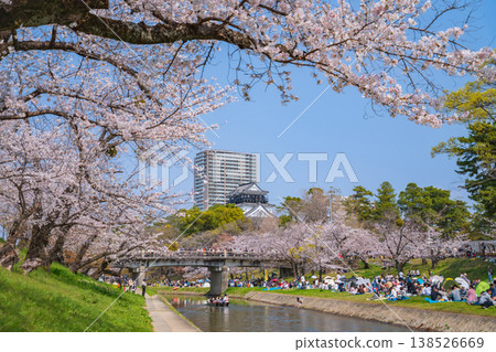 春天的岡崎城，櫻花盛開（愛知縣岡崎市） 138526669