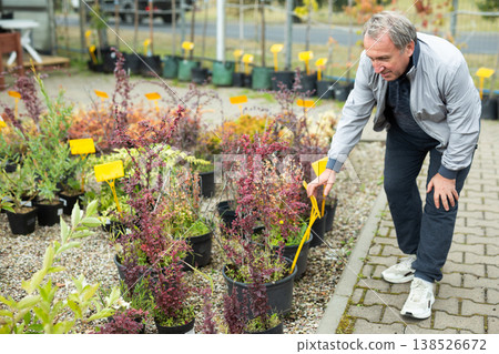 Mature male buyer in casual wear holding potted plant bush in outdoor plant market 138526672