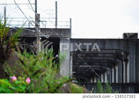 Greenery along the railway tracks and a concrete elevated bridge 138527381