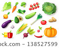 Vegetables vector set isolated. Fresh organic vegetables collection with tomato, carrot, cucumber, pepper, cabbage, eggplant, pumpkin and greens, healthy food illustration for design, market, menu 138527599