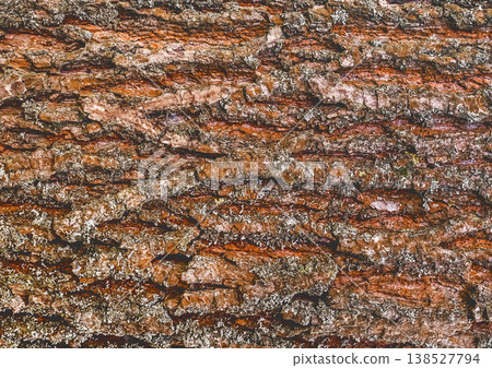 Tree bark abstract natural embossed wood texture background 138527794