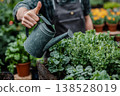 Person watering leafy plants with a metal watering can in a garden center, giving a thumbs-up 138528019