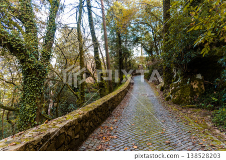 Pathway through lush Sintra forest in Portugal on a sunny day. Pathway through lush Sintra forest in Portugal on a sunny day. 138528203
