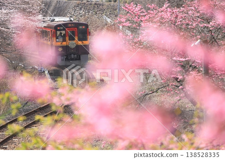 渡良瀨京國鐵道:“春天櫻花盛開,列車沿著鐵軌行駛。” 渡良瀨京國鐵道:“春天櫻花盛開,列車沿著鐵軌行駛。” 138528335