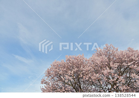 Lake Suwa Nagano Prefecture Shimosuwa Town 138528544
