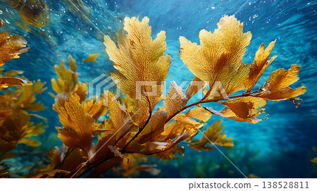 Close-up of underwater seaweed, blue ocean, golden leaves 138528811