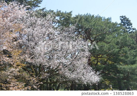 Kyoto Gyoen Kyoto Gyoen 138528863