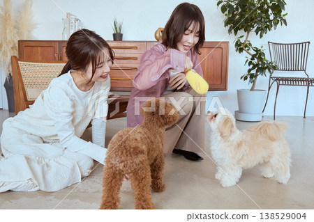 一隻馬爾濟斯犬和兩位女士玩耍；透過玩玩具進行有趣的寵物互動。 138529004