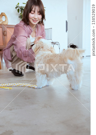 一隻馬爾濟斯犬和一位等待獎勵的女士：室內訓練以培養紀律和信任感。 138529019