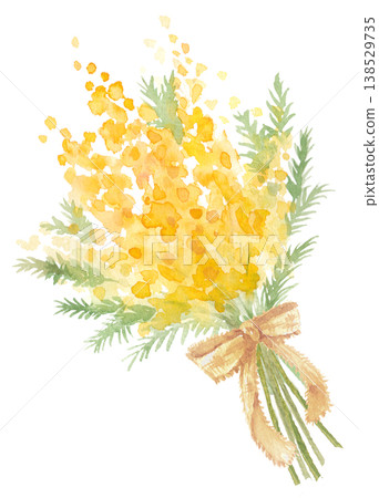 Watercolor mimosa bouquet 138529735