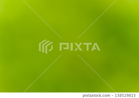 A vibrant green background material infused with the light of fresh greenery. 138529815