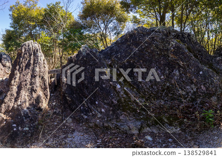 Camel Rock near Jinsekiyama 138529841