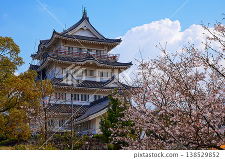 Chiba Castle Cherry Blossom Festival: Commemorating the 900th Anniversary of the Founding of Chiba 138529852