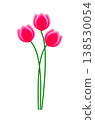 Three vibrant pink tulips blooming beautifully 138530054