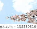 吉野櫻花樹和藍天 138530310