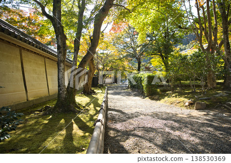 小倉山二尊:秋葉漸變,陽光透過樹葉灑下(4) 小倉山二尊:秋葉漸變,陽光透過樹葉灑下(4) 138530369