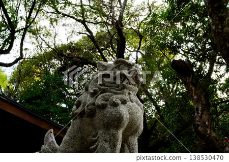 Guardian dog 138530470
