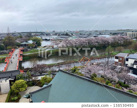 A view of the red Ote Bridge and the cherry blossom trees along the Gojo River from the keep of Kiyosu Castle. A view of the red Ote Bridge and the cherry blossom trees along the Gojo River from the keep of Kiyosu Castle. 138530493