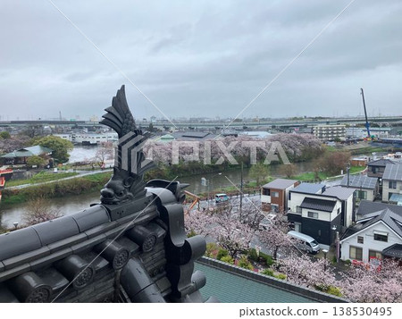 The golden shachihoko (mythical fish-like creatures) of Kiyosu Castle and the cherry blossom trees lining the Gojo River. The golden shachihoko (mythical fish-like creatures) of Kiyosu Castle and the cherry blossom trees lining the Gojo River. 138530495