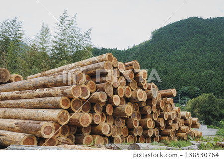 Logs of domestically produced timber piled up at a forestry site; an image of SDGs and carbon neutrality. Logs of domestically produced timber piled up at a forestry site; an image of SDGs and carbon neutrality. 138530764