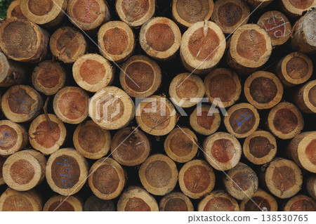 Cross-section texture of piled-up logs; forestry and domestic timber annual ring pattern background material. Cross-section texture of piled-up logs; forestry and domestic timber annual ring pattern background material. 138530765