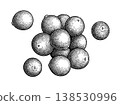 Handful of Cranberry. Hand-drawn ink sketch. 138530996