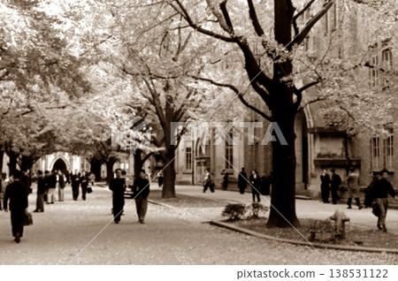 老照片,1956年,東京大學本鄉校區銀杏樹成蔭,東京 老照片,1956年,東京大學本鄉校區銀杏樹成蔭,東京 138531122